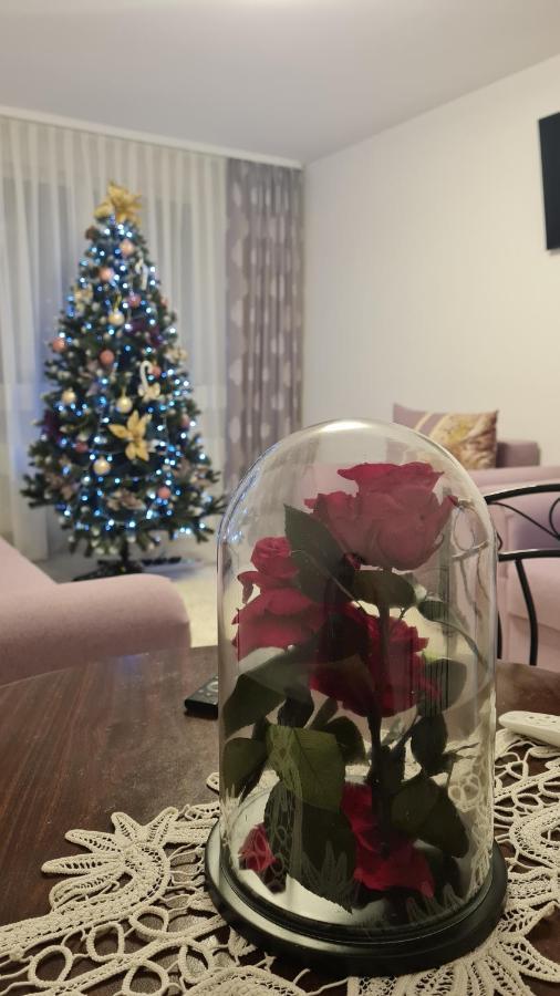 Apartament Violeta Hura-Humora Exteriér fotografie